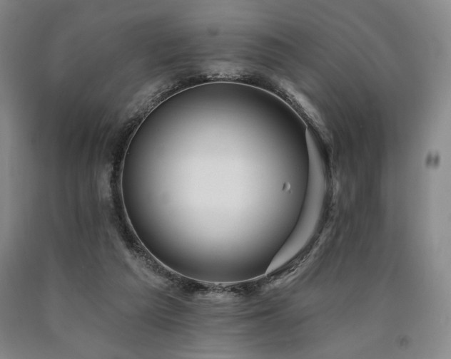 X0000090930209200707301602