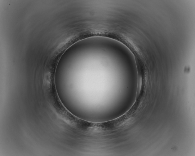 X0000090930211200707301602