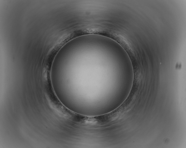 X0000090930214200707301602