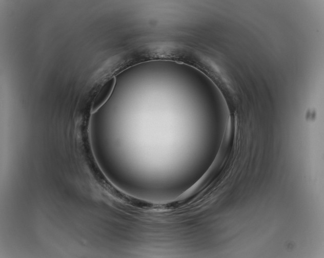 X0000090930217200707301602