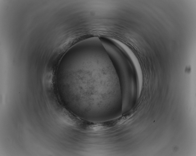X0000090930219200707301602