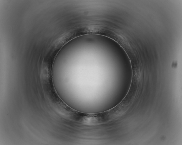 X0000090930220200707301602