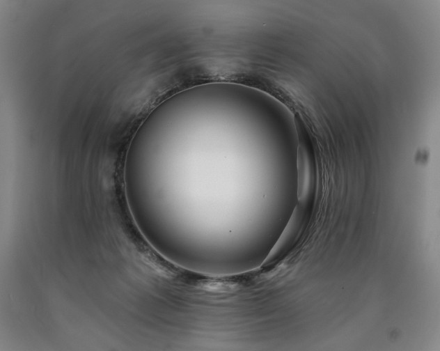 X0000090930221200707301602