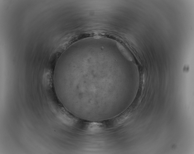 X0000090930222200707301602