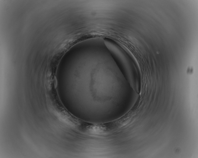 X0000090930223200707301602