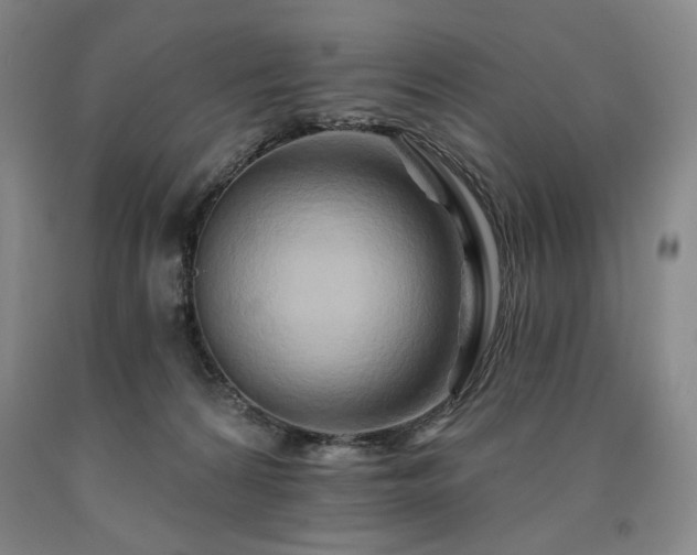 X0000090930224200707301602