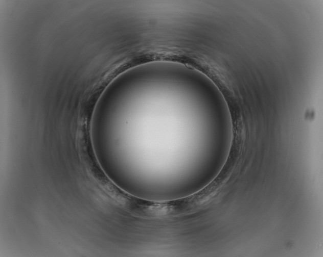 X0000090930225200707301602