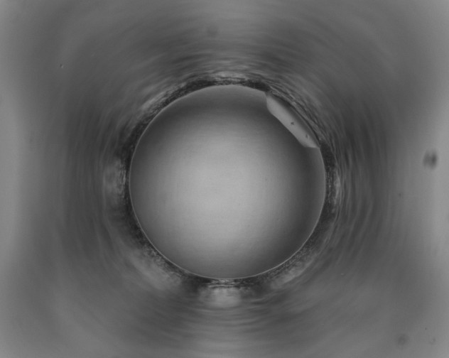 X0000090930228200707301602
