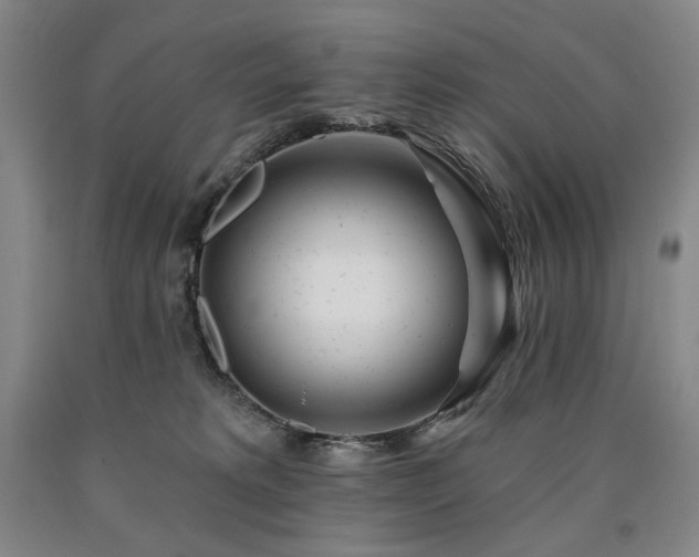 X0000090930229200707301602