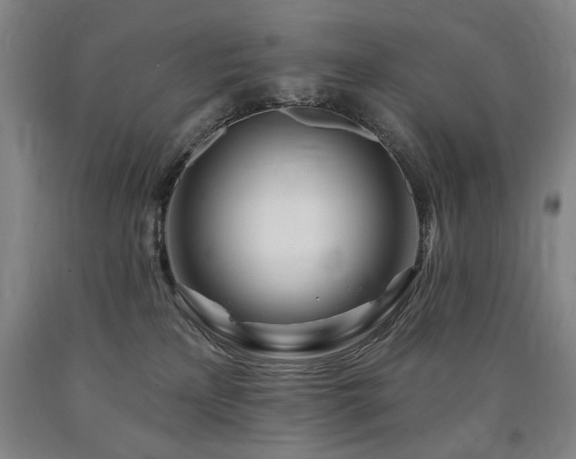 X0000090930233200707301602