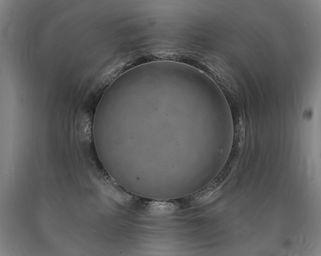 X0000090930234200707301602