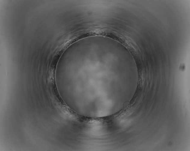 X0000090930236200707301602