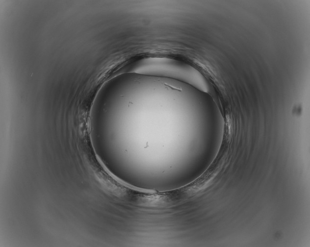 X0000090930237200707301602