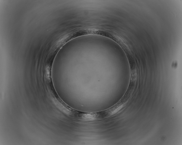 X0000090930238200707301602