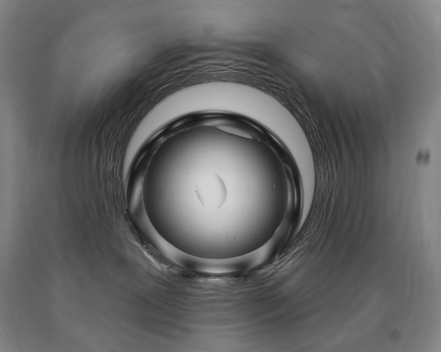 X0000090930239200707301602