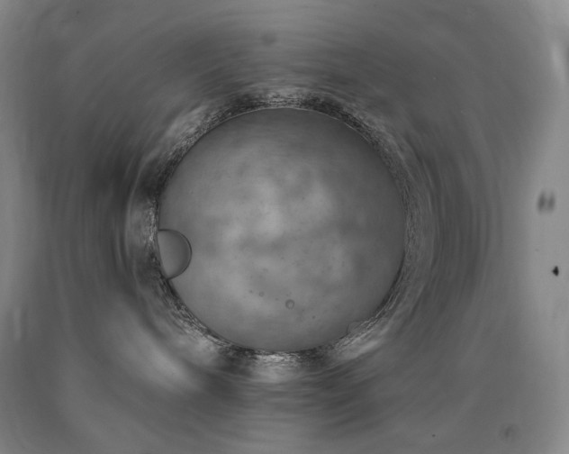 X0000090930240200707301602