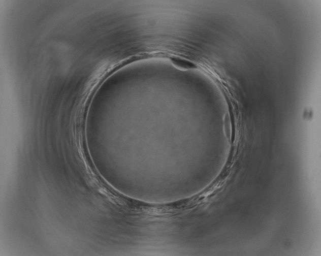 X0000090930241200707301601