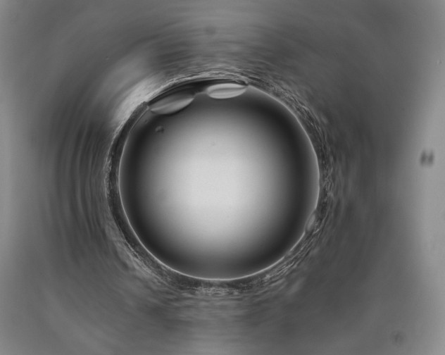 X0000090930242200707301601