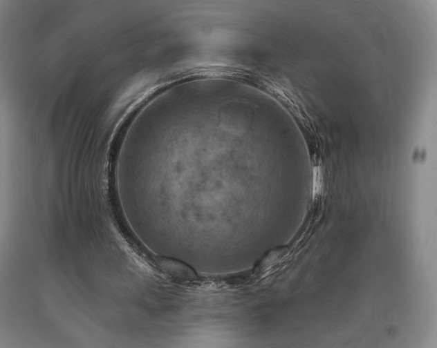 X0000090930243200707301601