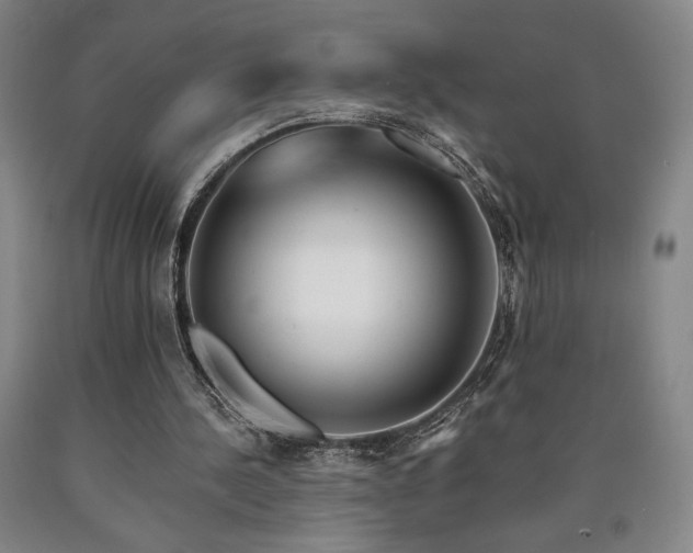 X0000090930244200707301601