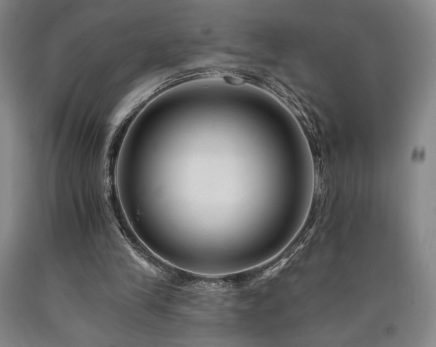 X0000090930245200707301601