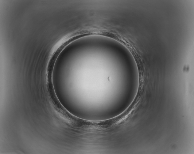 X0000090930246200707301601
