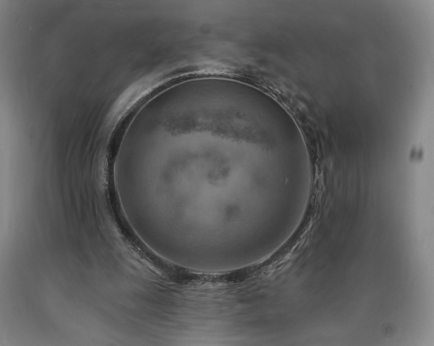 X0000090930247200707301601