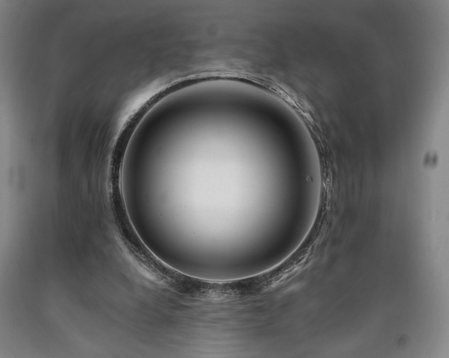 X0000090930248200707301601