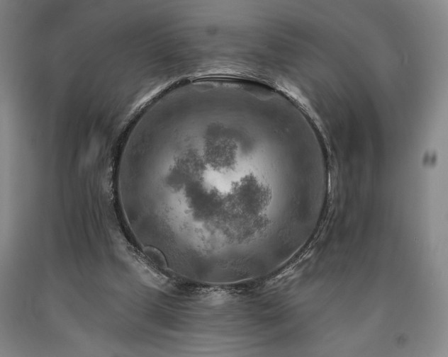 X0000090930249200707301601