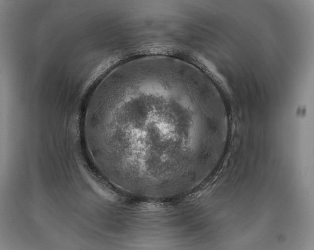X0000090930250200707301601