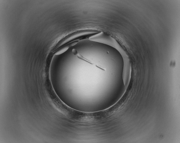 X0000090930252200707301601