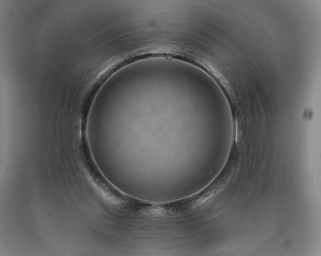 X0000090930253200707301601