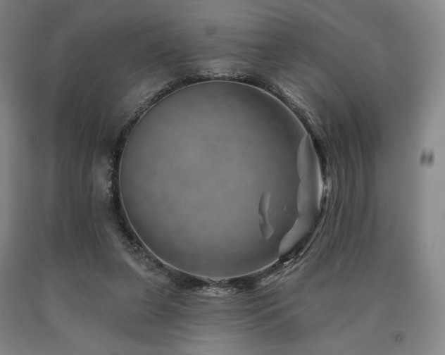 X0000090930255200707301601