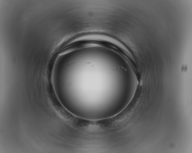 X0000090930256200707301601