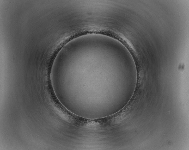 X0000090930257200707301601