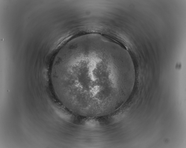 X0000090930258200707301601