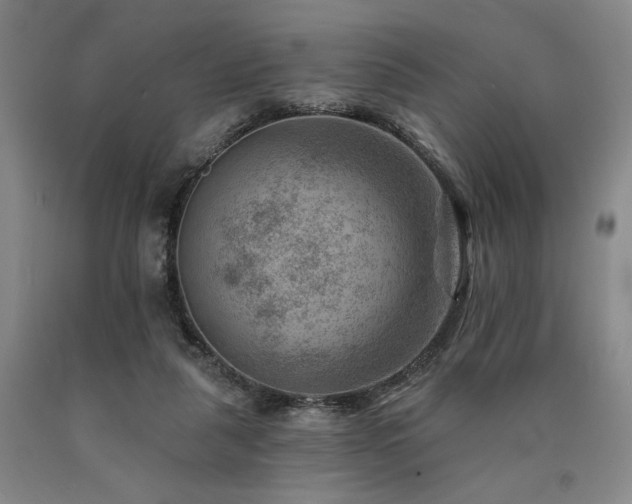 X0000090930259200707301601