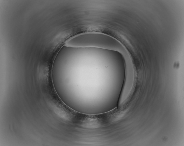 X0000090930260200707301601