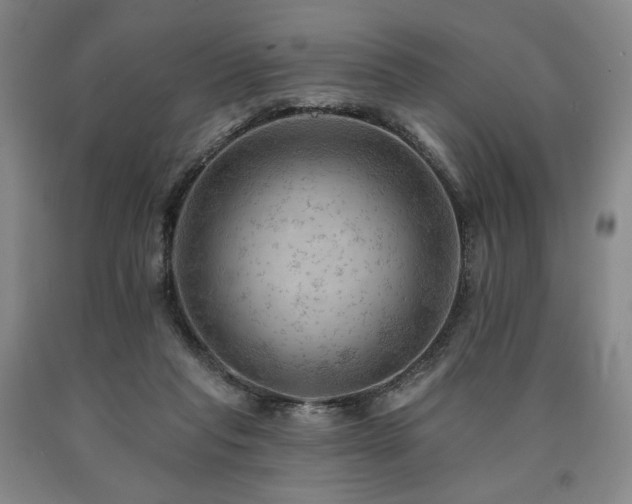 X0000090930261200707301601