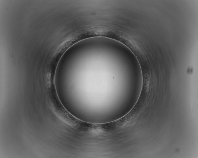 X0000090930262200707301601