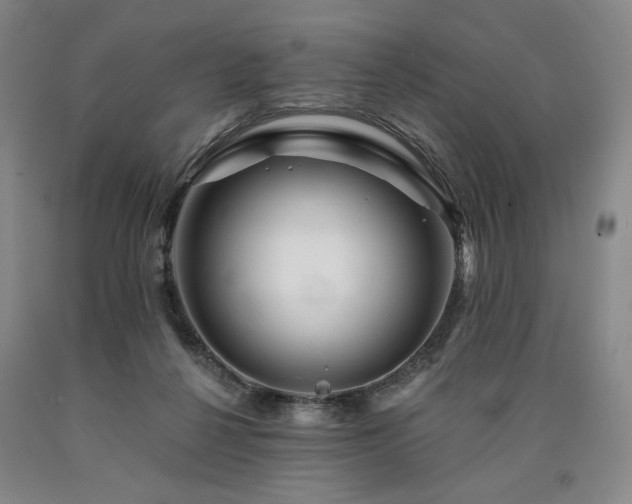 X0000090930264200707301601