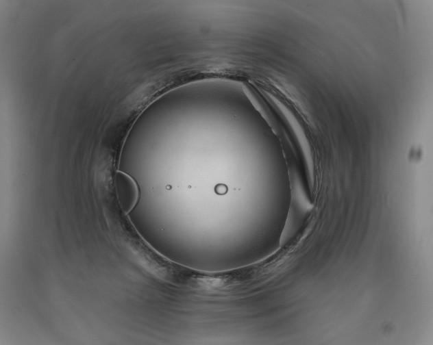 X0000090930265200707301601
