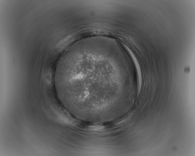 X0000090930266200707301601