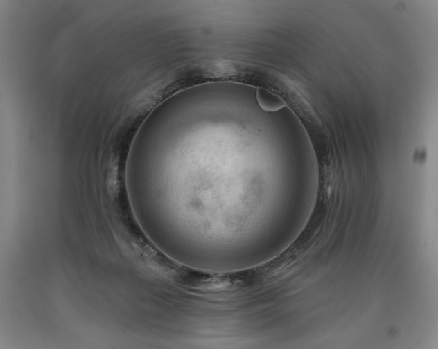 X0000090930267200707301601