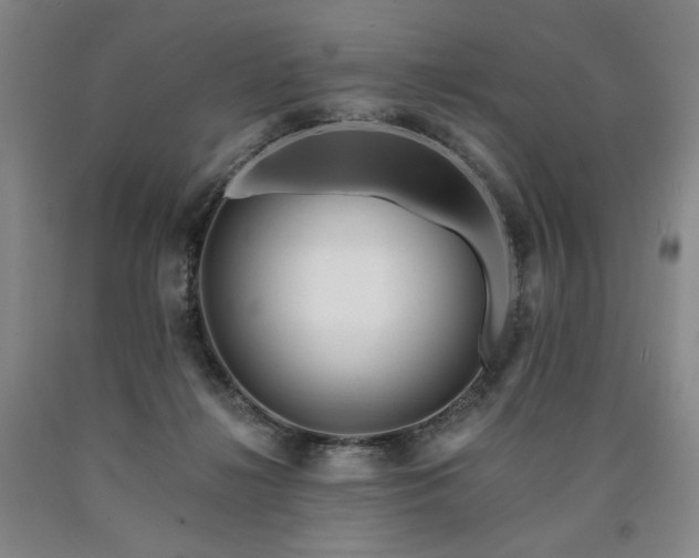 X0000090930268200707301601