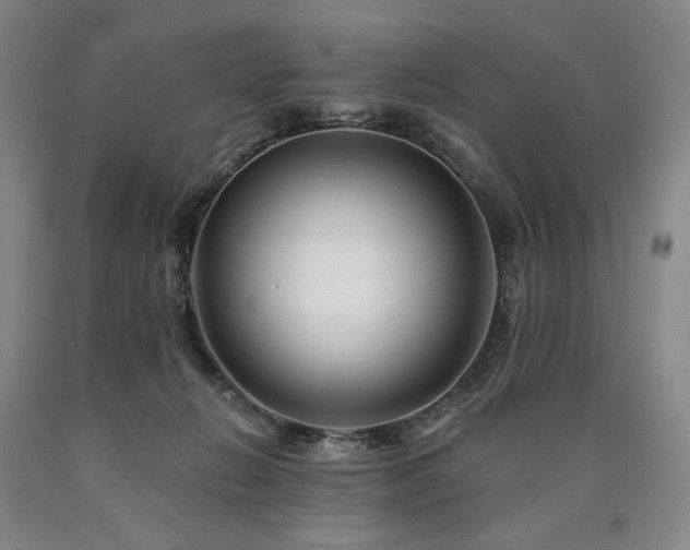 X0000090930270200707301601