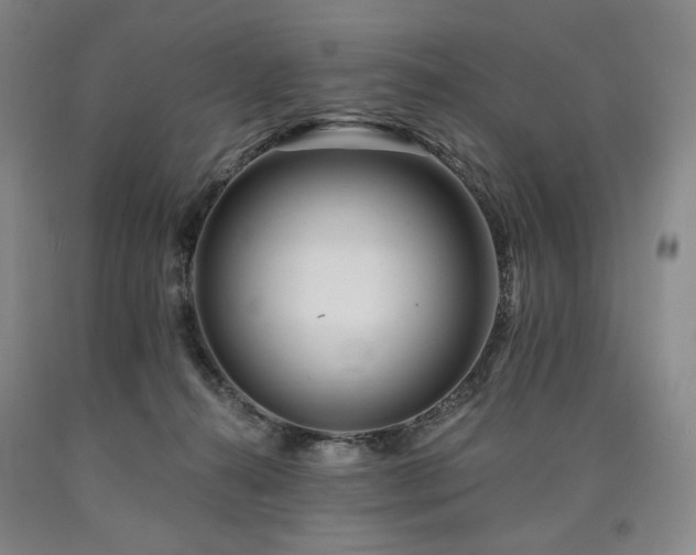 X0000090930272200707301601
