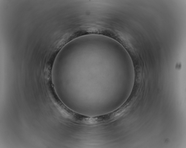 X0000090930273200707301601