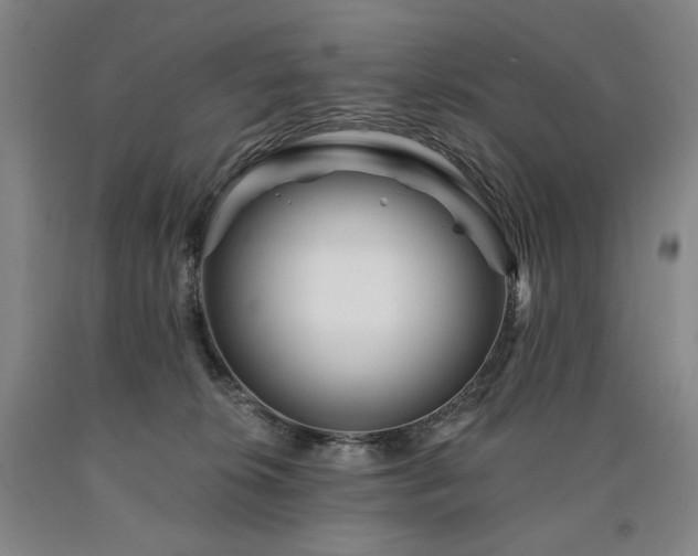 X0000090930276200707301602