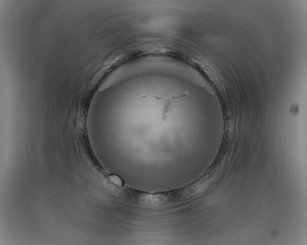 X0000090930277200707301602
